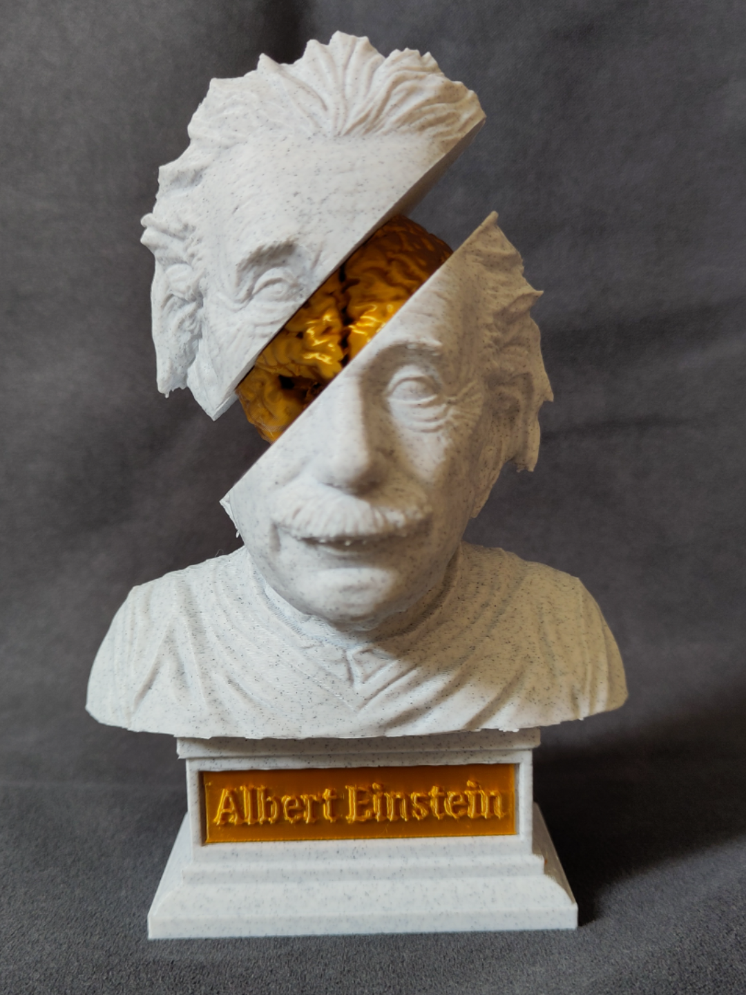 Albert Einstein Bust 